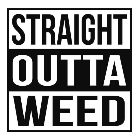 Cannabis 116 Cannabis Bundle 1 05