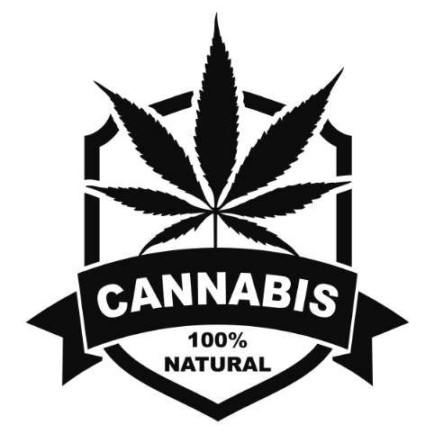 Cannabis 88 Cannabis Bundle 1 33