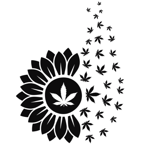 Cannabis 20 Cannabis Bundle 62