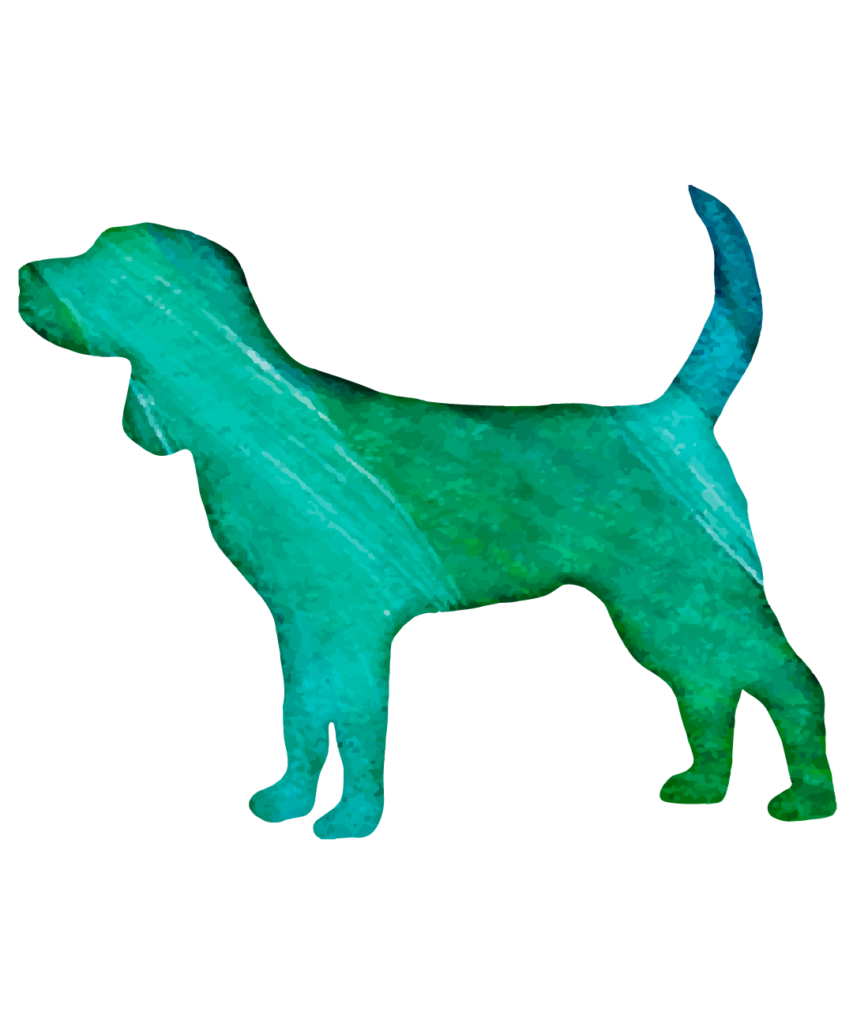 Dog 13