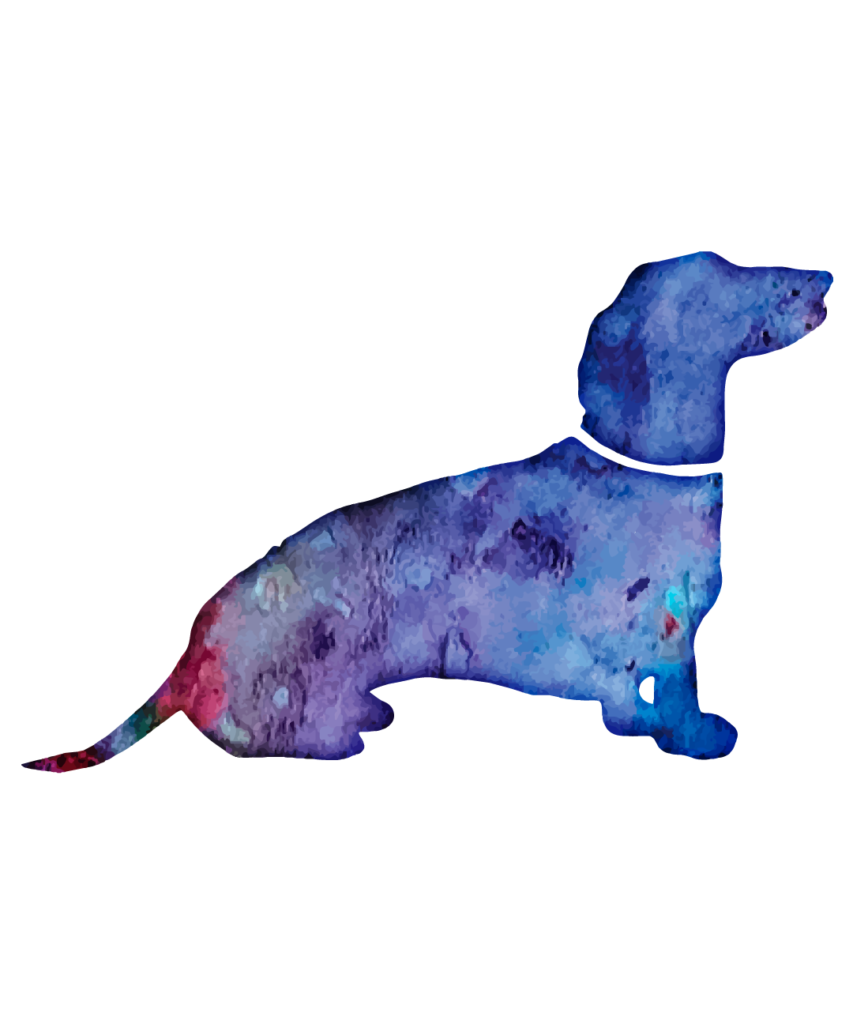Dog 14