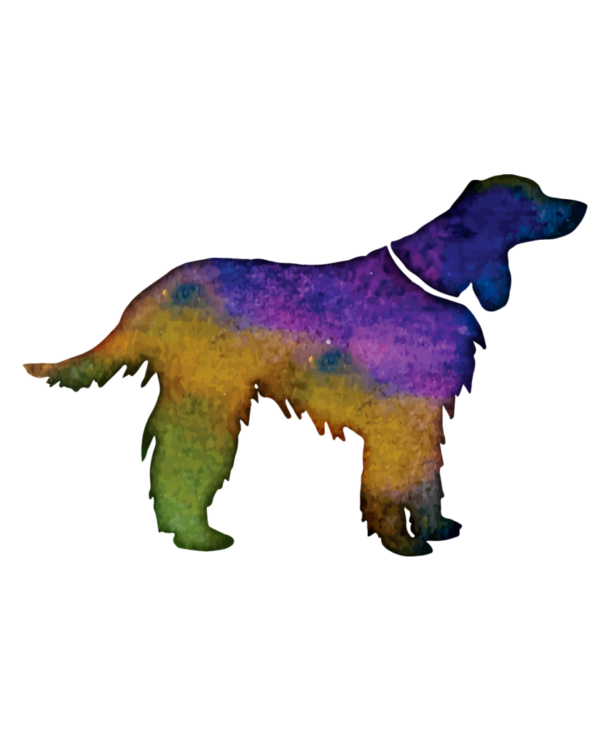 Dog 2