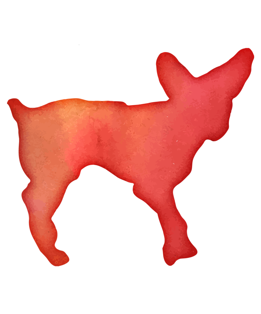 Dog 30