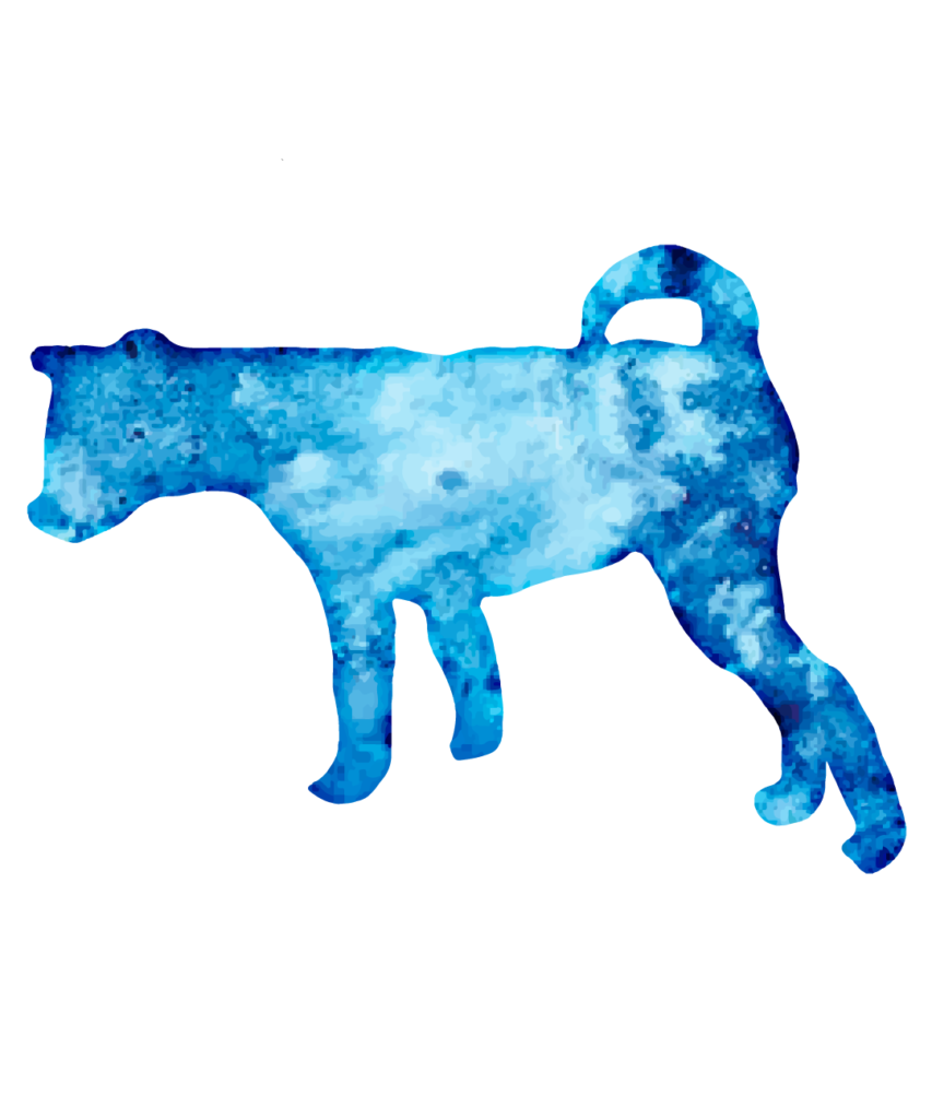 Dog 33