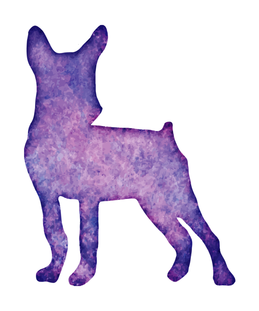 Dog 34