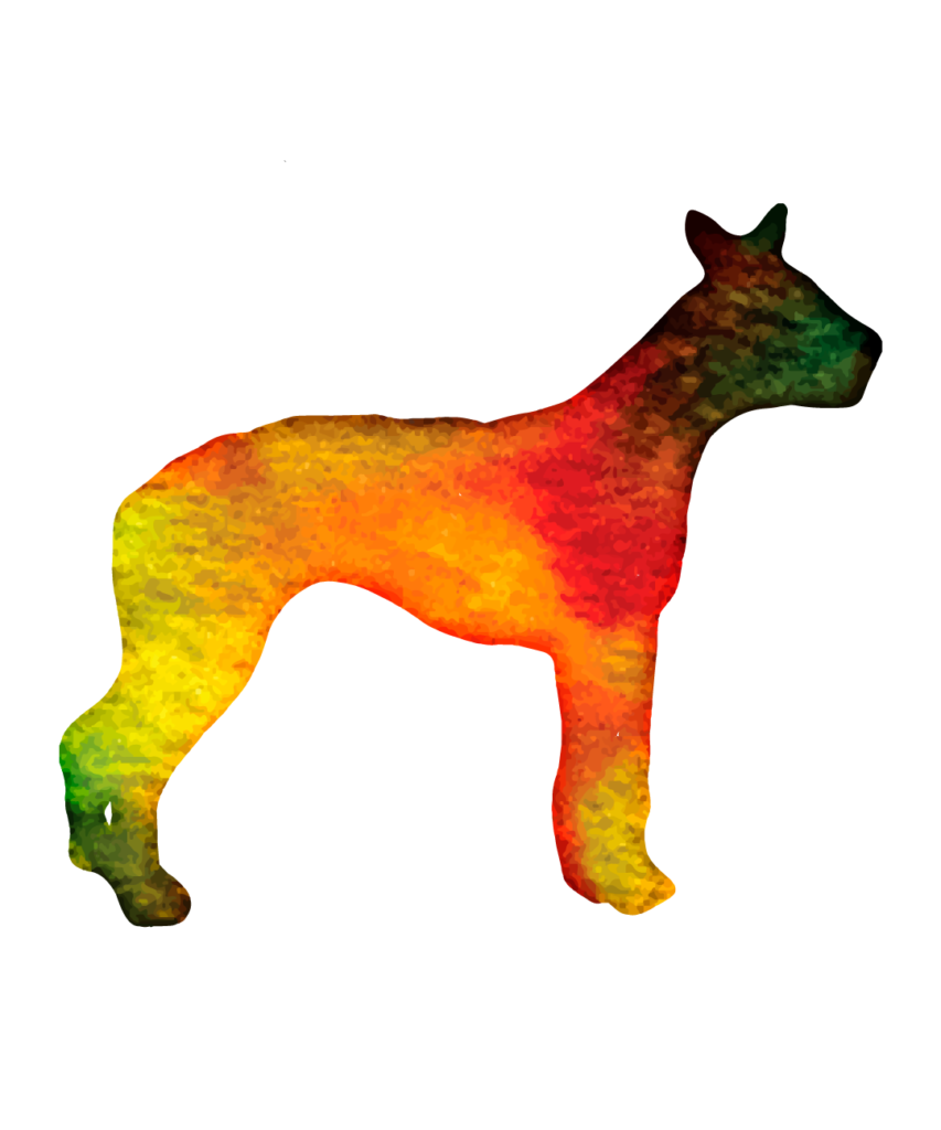 Dog 36