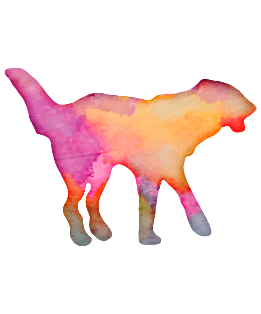 Dog 37