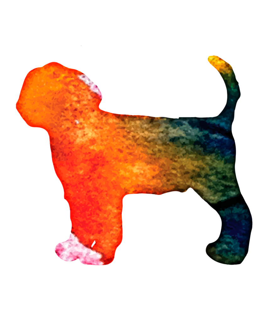Dog 38