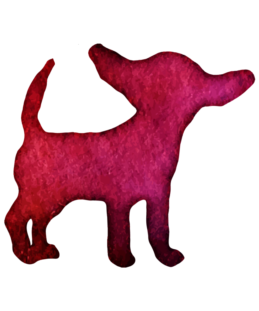 Dog 39