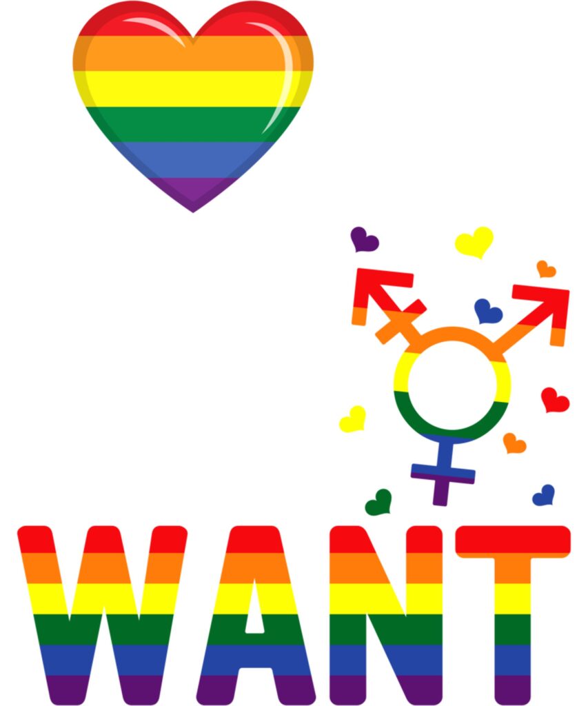 LGBTQ Love Who You Want LGBT Pride Month Gay Lesbian Trans Long Sleeve T Shirt 1