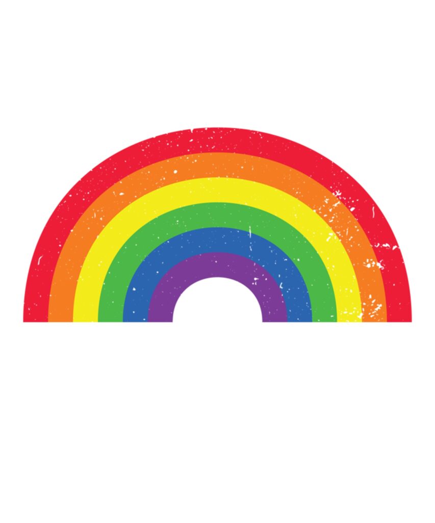 Not Pride Promise Lgbt Christian Men Women Pride Month Long Sleeve T Shirt