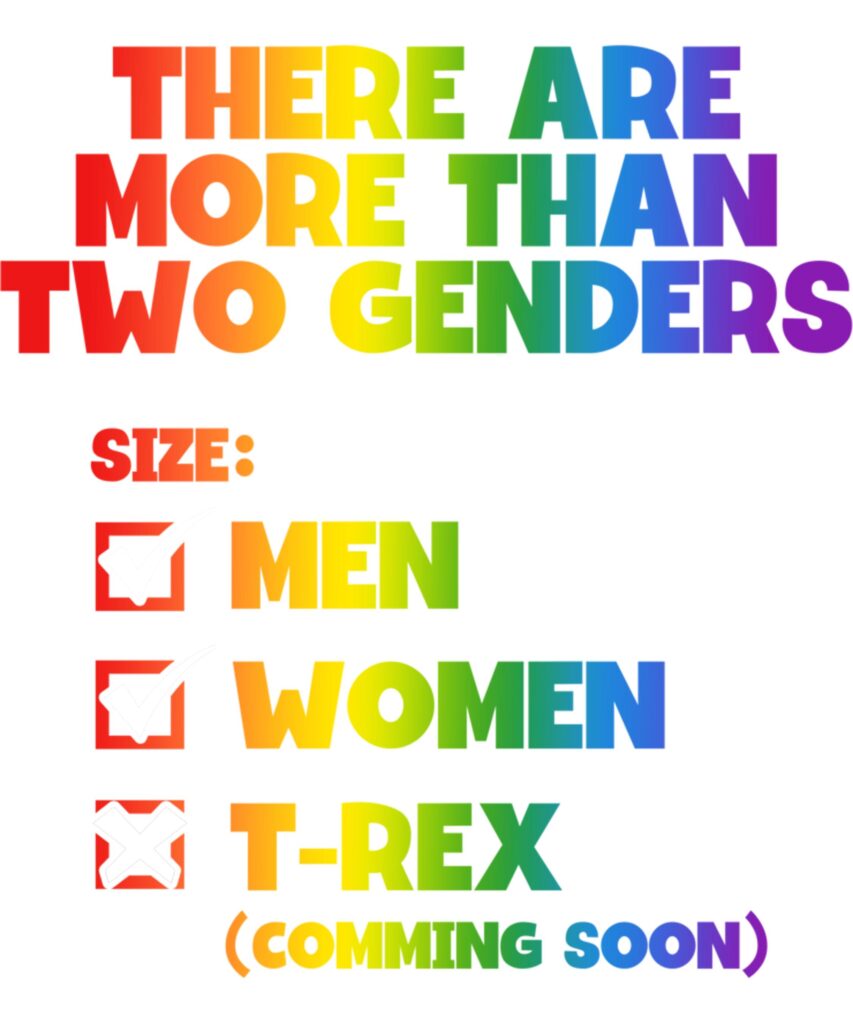 There Are More Than Two Genders Pride Month LGBT Long Sleeve T Shirt