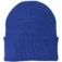 CP90_athleticroyal_front_GA18