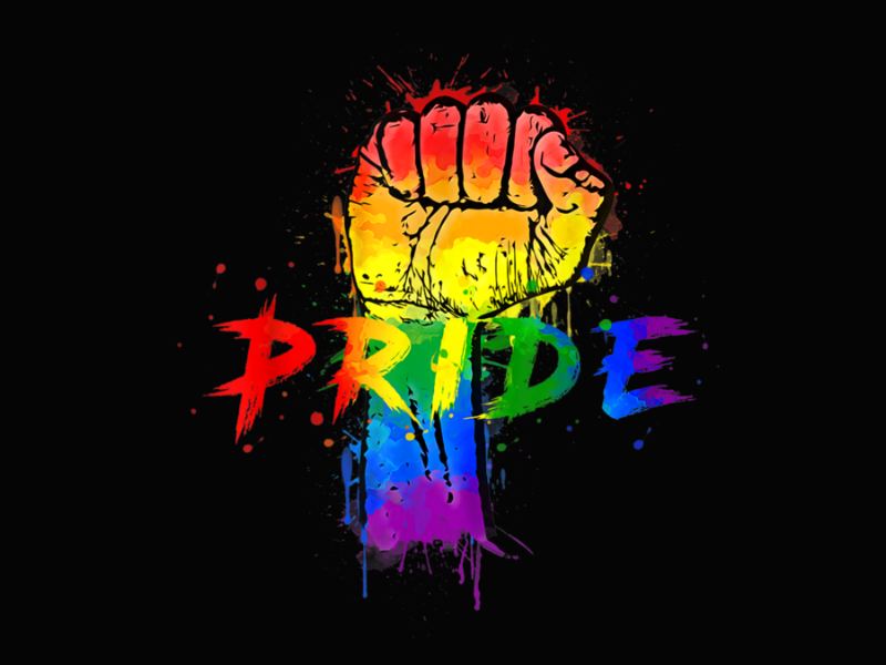 Pride 19 Gay Pride LGBT for Gays Lesbian Trans Pride Month Long Sleeve T Shirt 1