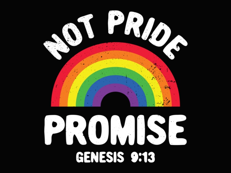 Pride 46 Not Pride Promise Lgbt Christian Men Women Pride Month Long Sleeve T Shirt 1
