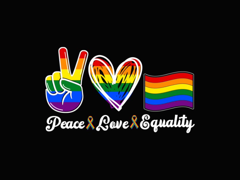 Pride 55 Peace Love Equality Lesbian Gay LGBT Funny Pride Month Long Sleeve T Shirt 1