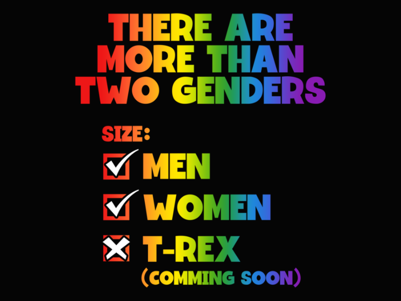 Pride 87 There Are More Than Two Genders Pride Month LGBT Long Sleeve T Shirt 1